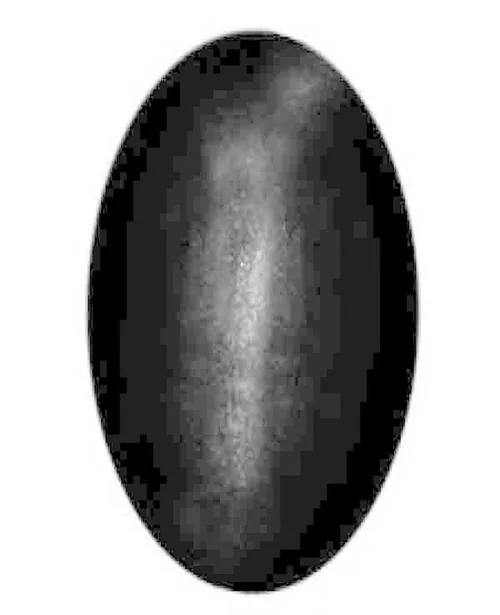 mahadevam Shaligram is used for worshipping of Lord Vishnu. It is considered to be a reincarnation of Lord Vishnu himself.