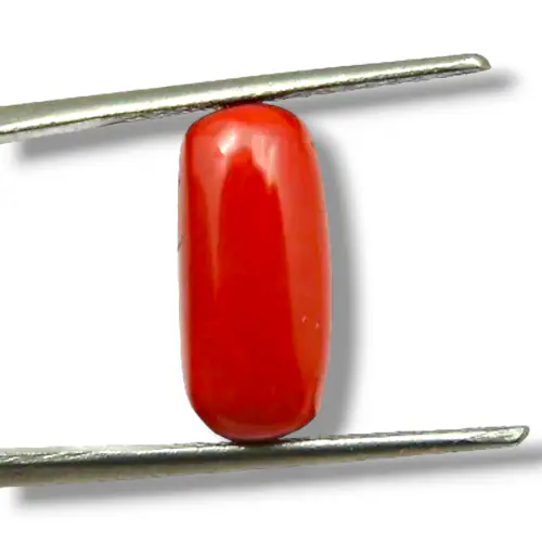VanishreeWorld Red Coral Natural Italian (MOONGA/ Munga Stone Gemstone Coral Stone For Wear in Stone Coral Ring