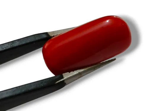 VanishreeWorld Top Quality 9.25 Ratti Red Coral (Moonga) Gemstone Capsule Shape Stone Lab Certified Lucky Coral Stone