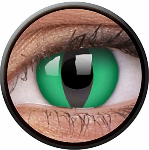 AUGEN Tropical Crazy Lens Yearly Zero Power Contact Lens Anaconda