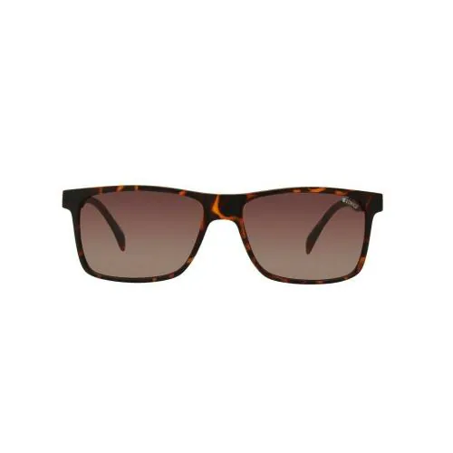 ENRICO Scope UV Protected Wayfarer Sunglasses for Men ( Lens - Brown | Frame - Brown)