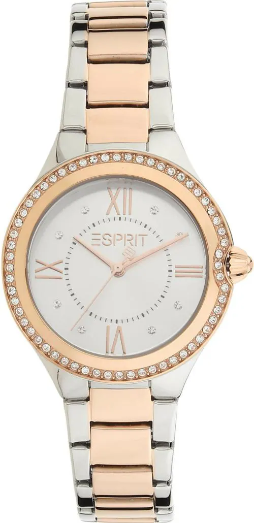 Esprit Analog Silver Watch For Women (Es1L263M0095)