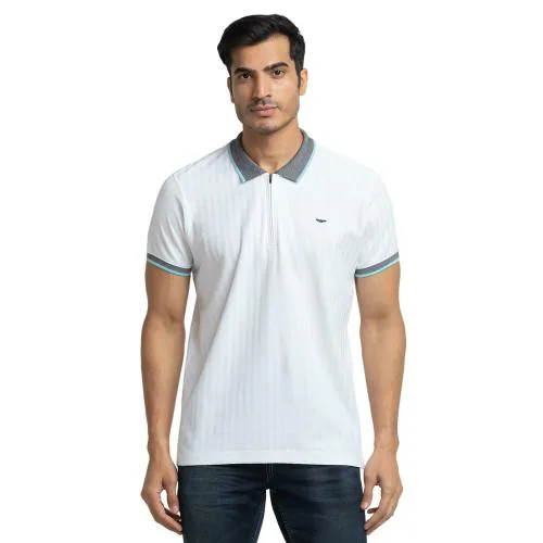 Park Avenue Men Slim Fit 100% Cotton Round Neck T-shirt