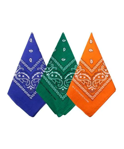 The beged Bycc Bynn Women Royal Blue, Black Green, Orange Mufflers & Scarves