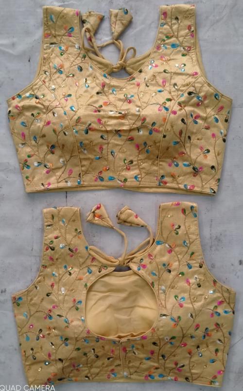 PANETAR Fancy Wedding Low Range Readymade Stitched Blouse For Bridal