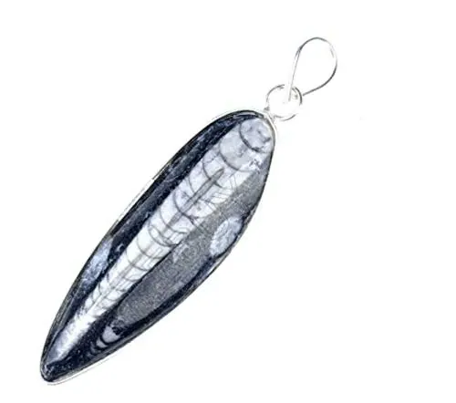 REBUY Orthoceras Fossil Pendant