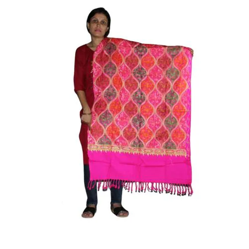 Buy BESWADESHI Women's Kashmiri Aari Embroidered Wool Stole(PINK