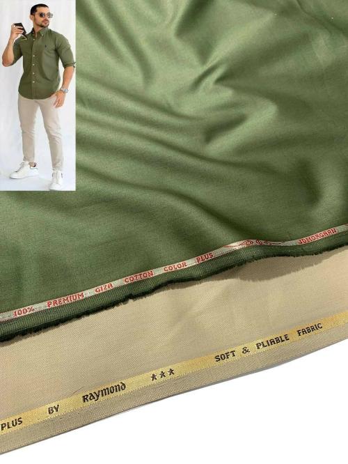 Raymond Green Cotton Shirt and Beige Trouser for formal wear JodiPlain-28