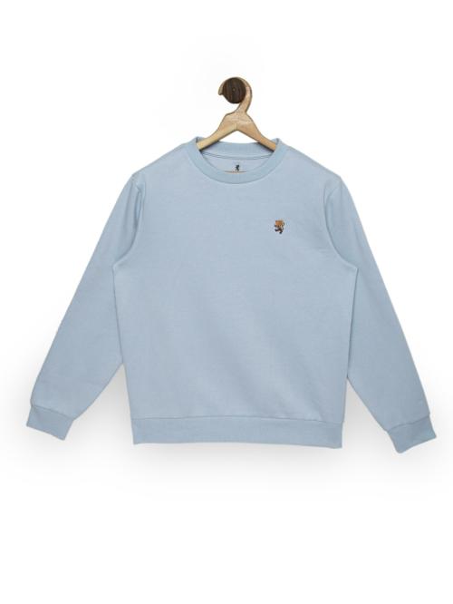 Red Tape Boy's Light Blue Sweatshirt