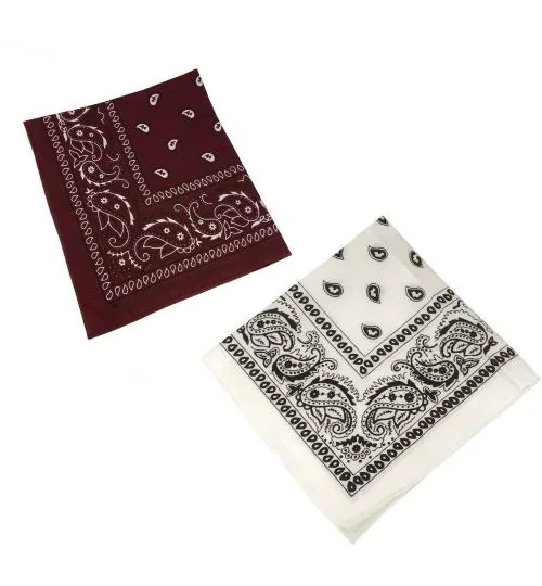 Stylewell Women Multicolor Handkerchief Pack of 2