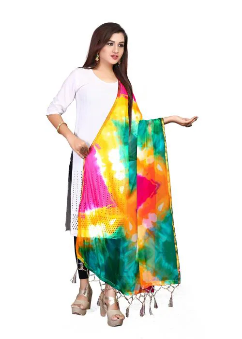 Aardiva Chiffon Printed Women Multicolor Dupatta