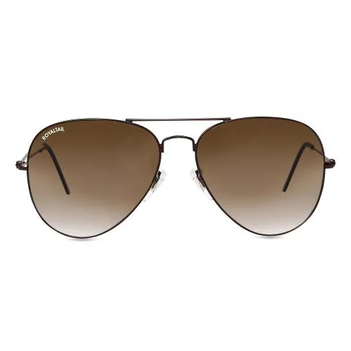 Royaltail Dark Brown Gradient Glass and Brown Frame Aviator Unisex Sunglasses