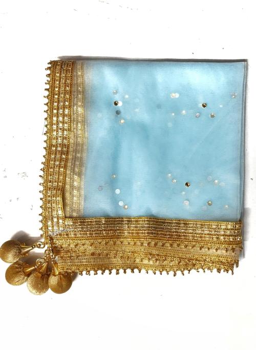 Taha Fashion Women Light Blue Embellished Net Dupatta (2.25 Meters)