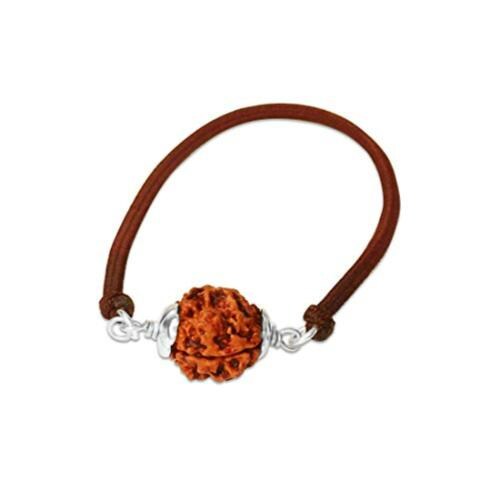 Rudra Centre Two Mukhi Rudraksha Bracelet from Nepal in Silver Basket with Elastic