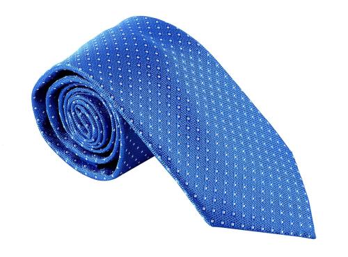 Leonardi Men Royal Blue Microfiber Necktie