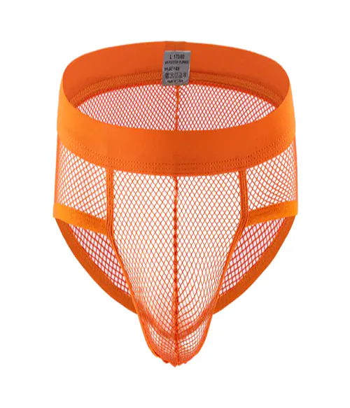 Panteasy Men's See through Mesh Frenchie Brief Underwear