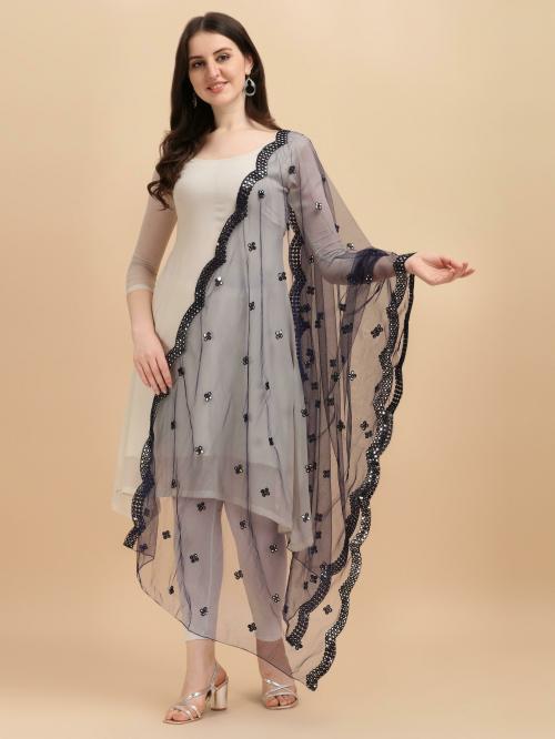 Devangi Women Multicolor Embroidered Net Dupatta