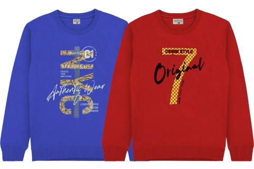 GWA Boys Sweaters (Pack of 2)