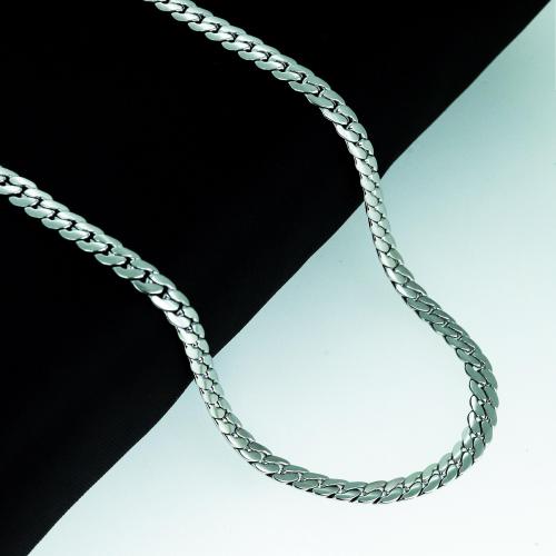 Buy Alvira Stainless Steel SilverPlated Silver Long Chain Necklace For