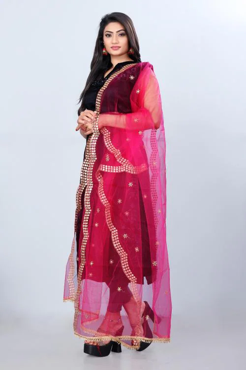 NET EMBORDARY MIRROR WORK DUPATTA