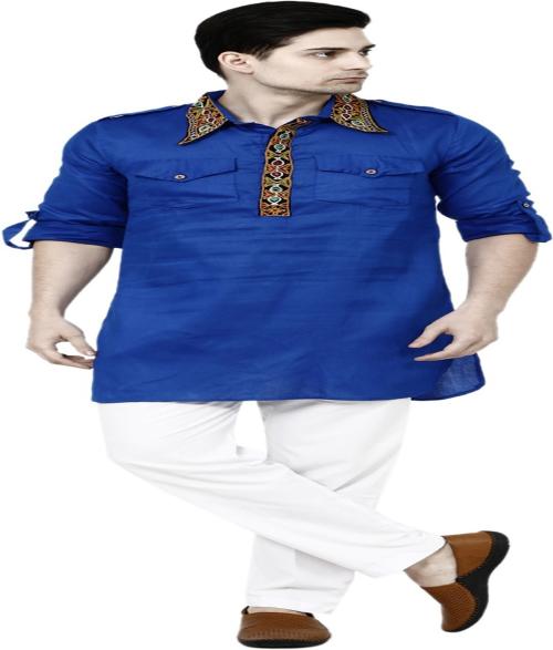 TAVAN Men Embroidered Pathani Kurta (Blue)