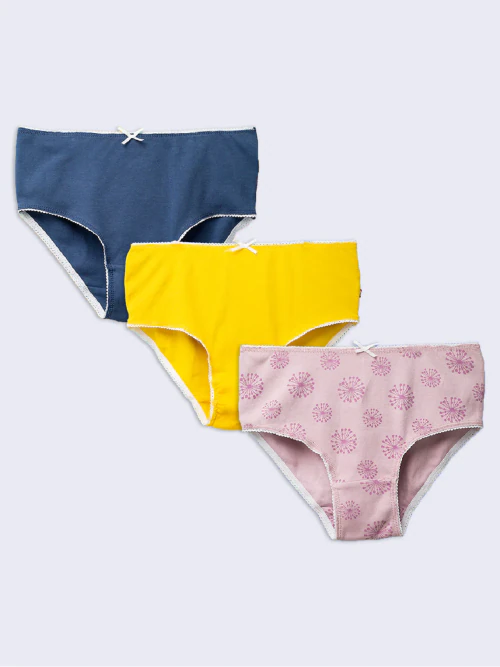 Nino Bambino 100% Organic Cotton Multi-Color Assorted Knicker/Panty Sets (Pack Of 3) For Girls - Multicolor (3-4 Years)