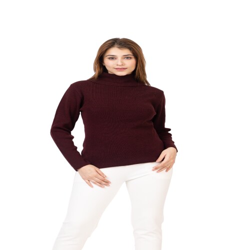 TWENTY ME Winter Wear Casual Solid Acrylic Soft & Warm High Neck Skivvy For Women's