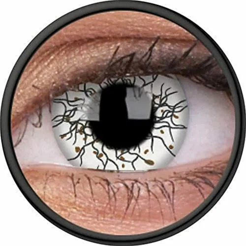 AUGEN Tropical Crazy Lens Yearly Zero Power Contact Lens Vikingdom