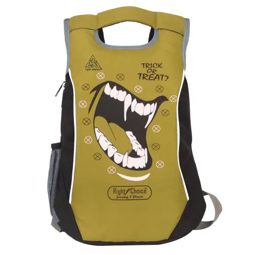 Right Choice stuff quality college causal bag for boys and girls