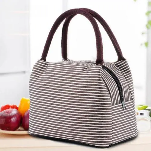 Buy SHALVI Portable Insulated Lunch Bag for Office, Picnic (Grey