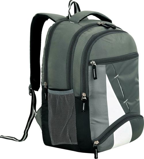 Zeden Grey Polyester Laptop Backpack/School Bag 30 L