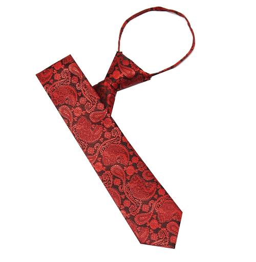Leonardi Men Maroon Microfiber Zipper Tie