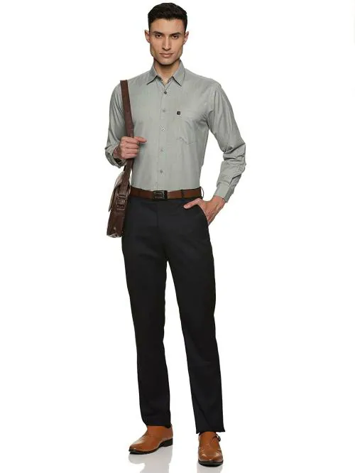 Men's Full Sleeves Regular Fit Paper Cotton Formal Shirt (Large, Light Olive Grey)