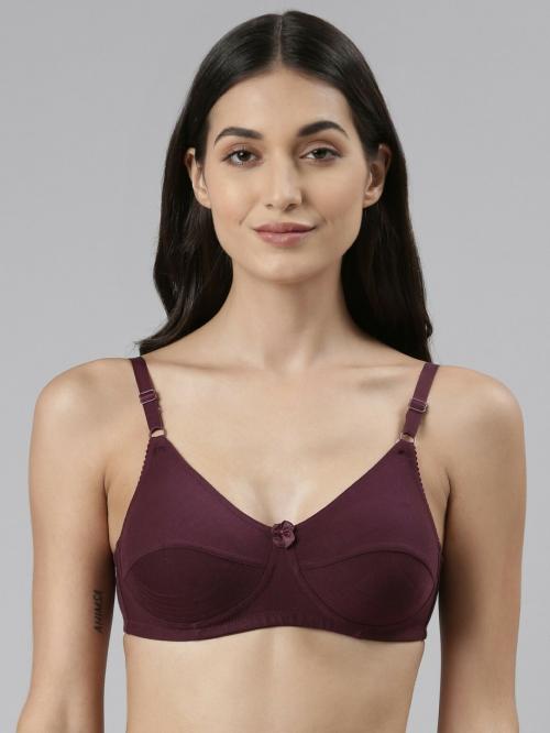 Dollar Missy Women Wire Free Non Padded Purple color Uplift Support Bra