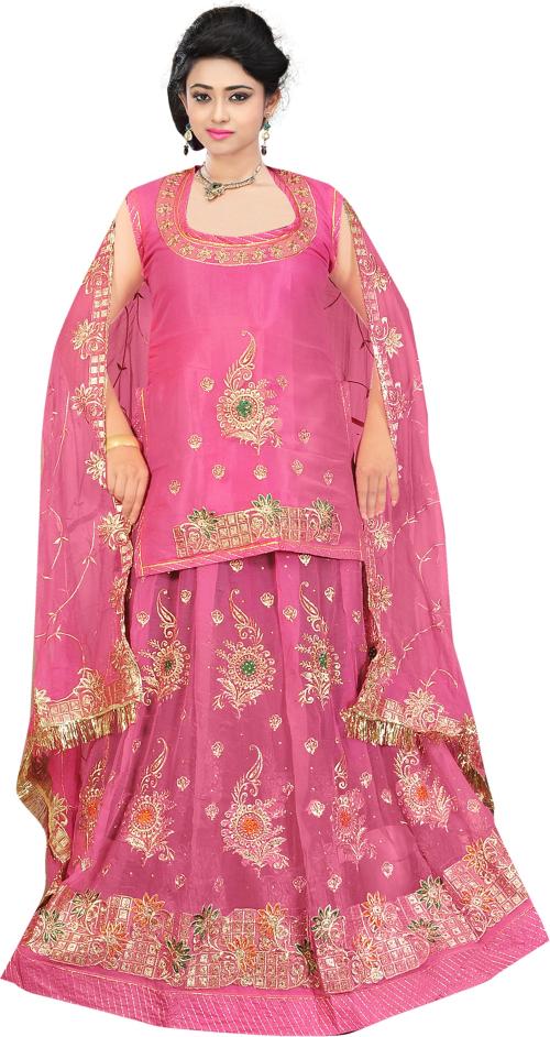 SHIVDEVANSHI Pink Embroidered Georgette Rajasthani Poshak Women Lehenga Choli (Free Size)