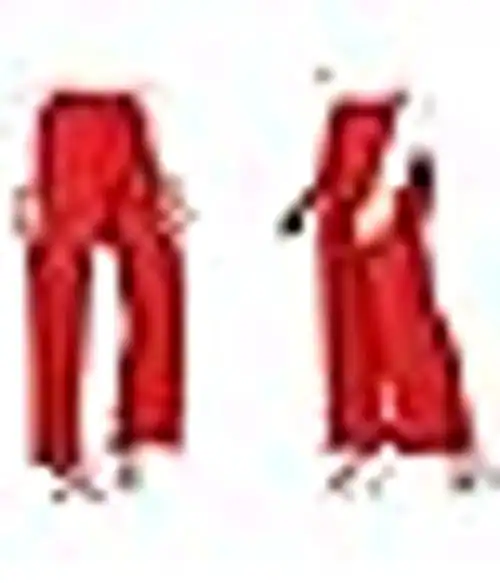 Fancy Star Women's and Girls Cotton Reyon Regular Fit Palazzo Pants-283-Size-50-Colour-Multicolour