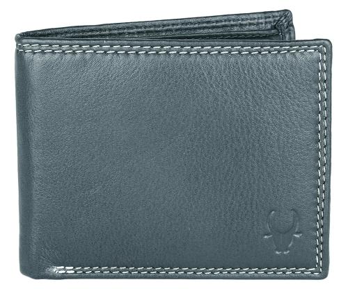 Wildhorn Men Grey Wallet