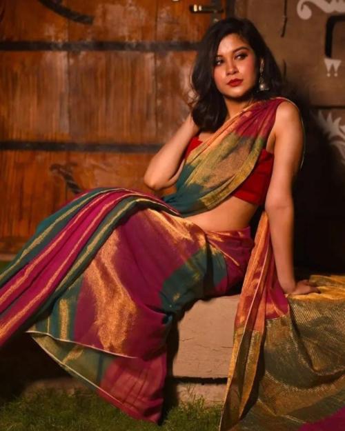 Rainbow Chanderi Saree