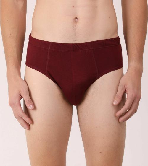 THE BLAZZE Men's Multicolor Solid Cotton Briefs