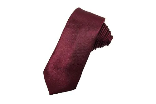 TIE STUDIO Men Wine Microfiber Necktie