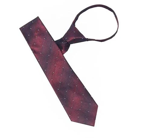 Leonardi Men Wine Microfiber Zipper Tie