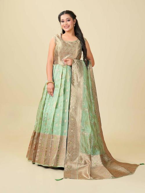 HALFSAREE STUDIO Pista Colour Traditional Designer Gown By Halfsaree Studio