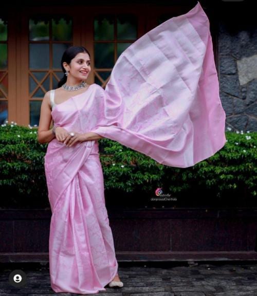 PITHAVADIWALA Women Pink Printed Jacquard and Pure Silk Jamdani Saree with Unstitched Blouse Piece