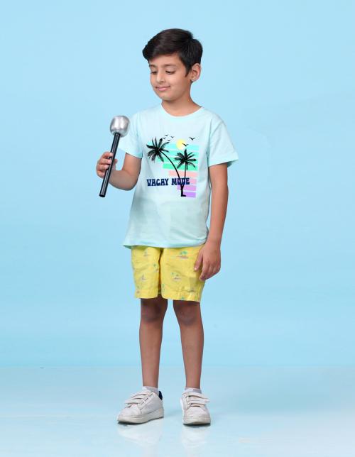 Nusyl Vacay mode Printed Powder Blue Colour T-shirts