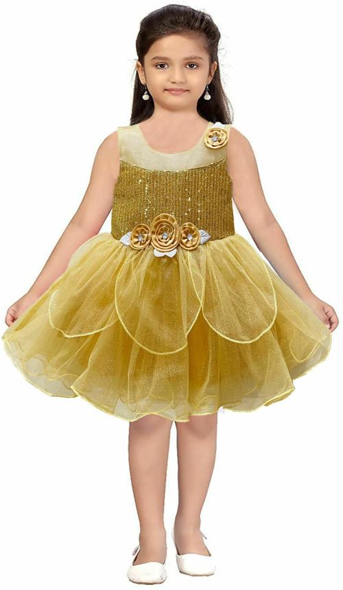Bushra Designer Studio Baby Girls Gold Net Fit and Flare Dress - 6 to 12 M