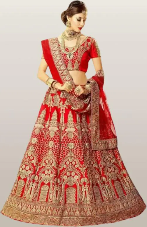 Riyami Fashion Wedding Lehenga Choli Bridal Chaniya Choli Wedding Chaniya Choli Bride's Chaniya Choli Bridal Lehenga Choli Bridal Ghagra Choli Bridal Garba Chaniya Choli Bridal panetar shadi ka joda WITH blouse duppta and choli (1 SET)