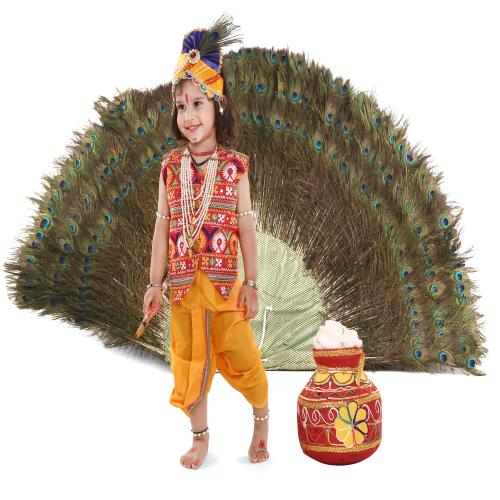 Raj Fancy Dresses Shri Krishna Dress for Baby Boy & Girl, Dress Pagri Mala (3 Years) RMD Multicolor Jacket