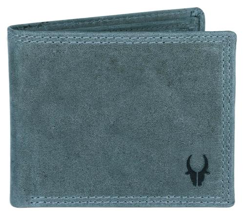 Wildhorn Men Blue Wallet