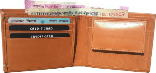 Proway Men Brown Wallet