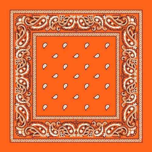 Navkar Crafts Unisex Cotton Paisley Bandana/Head Wrap/Wristband/Face Cover/Handkerchief for Men and Women, Multi (50 * 50cm, Orange)